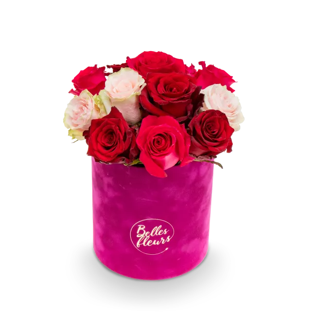 Květinový box růží